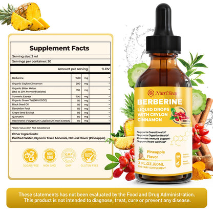 Berberine Liquid Drops with Cinnamon & Turmeric – 2 oz | AMPK, Digestion & Immune Support