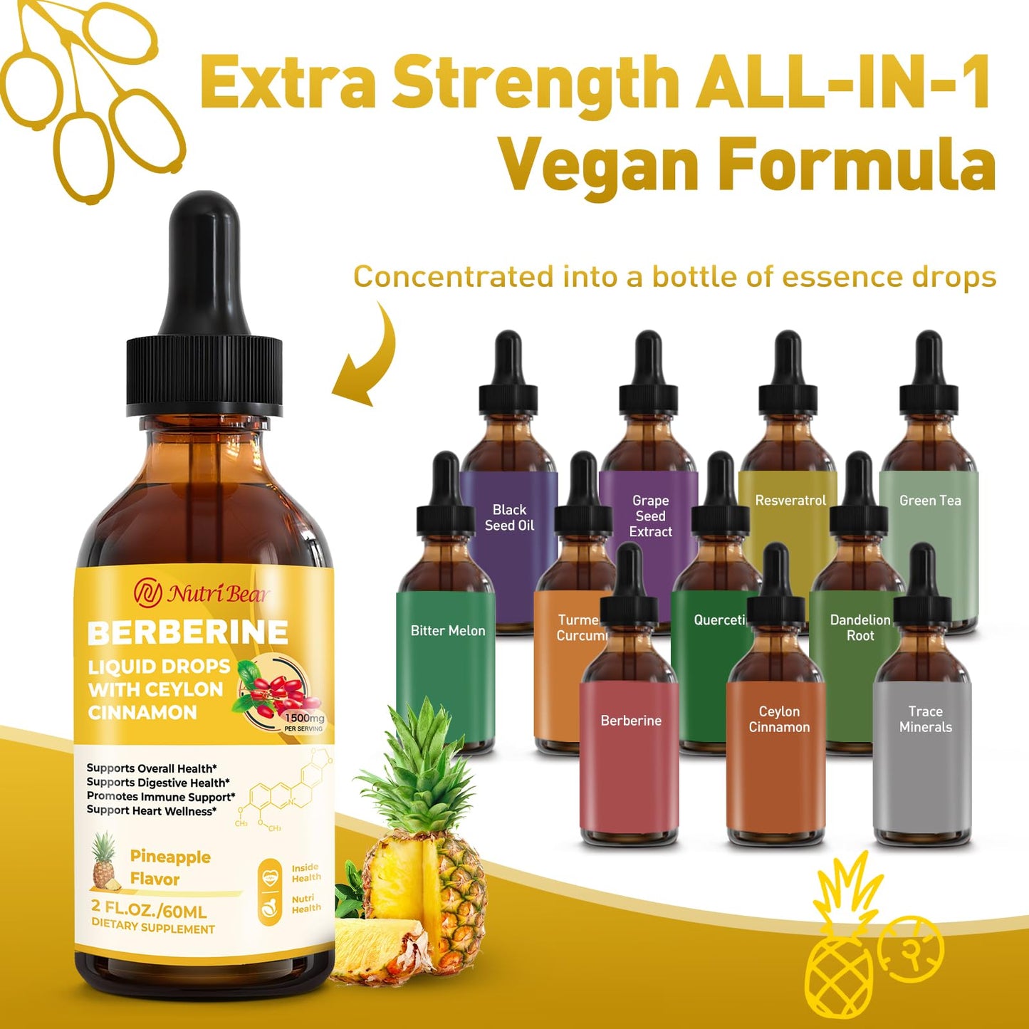 Berberine Liquid Drops with Cinnamon & Turmeric – 2 oz | AMPK, Digestion & Immune Support