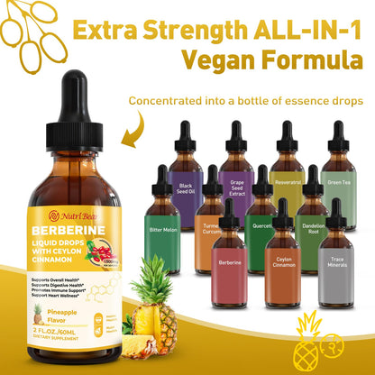 Berberine Liquid Drops with Cinnamon & Turmeric – 2 oz | AMPK, Digestion & Immune Support
