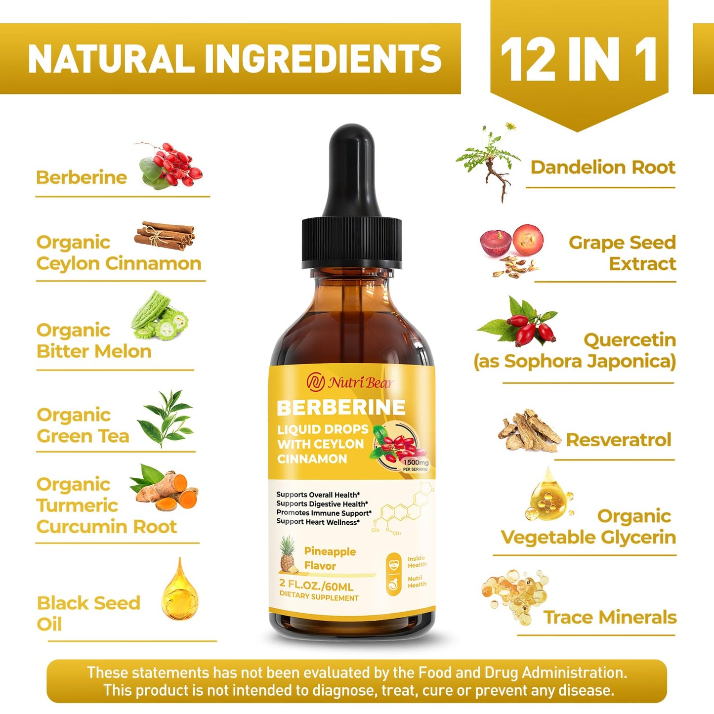 Berberine Liquid Drops with Cinnamon & Turmeric – 2 oz | AMPK, Digestion & Immune Support