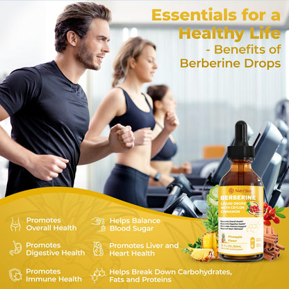 Berberine Liquid Drops with Cinnamon & Turmeric – 2 oz | AMPK, Digestion & Immune Support