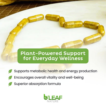 B’Leaf Nature Berberine Phytosome – 120 Capsules (1100mg) – Metabolic & Cardiovascular Support
