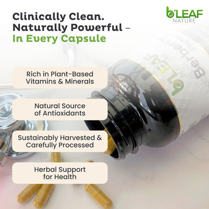B’Leaf Nature Berberine Phytosome – 120 Capsules (1100mg) – Metabolic & Cardiovascular Support