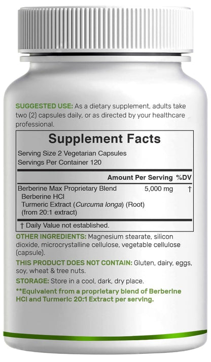 Berberine Max with Turmeric – 5,000mg per Serving | 97% Berberine HCl