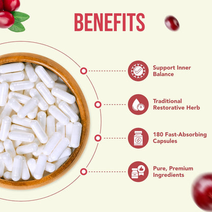 High Strength Berberine 500mg – 180 Servings | Vegan, USA Made Antioxidant Support