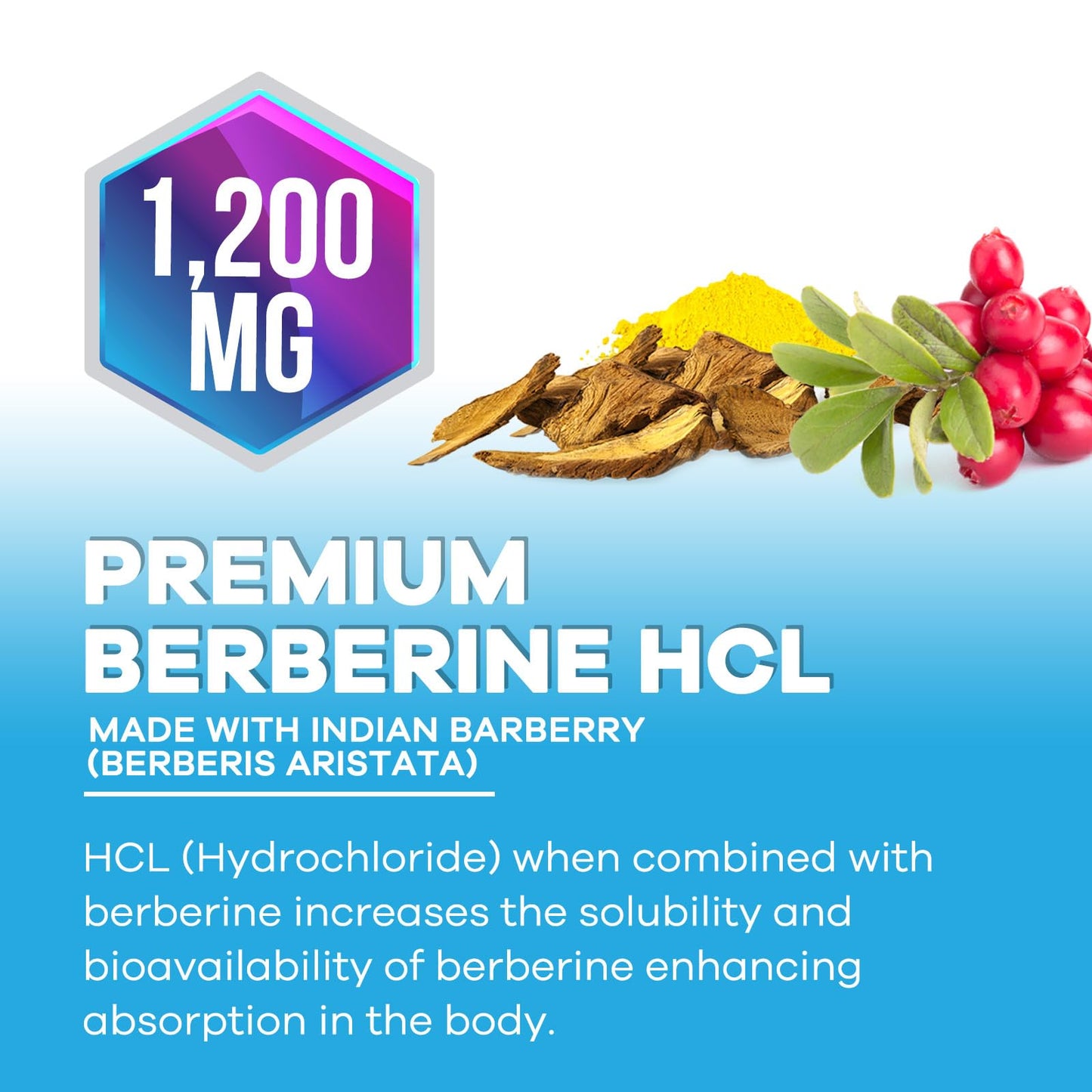 Berberine HCL 1200mg Supplement – High-Absorption Berberine HCL Capsules for Heart Health & Immune Support | Vegan, Gluten-Free, Non-GMO – 60 Veggie Capsules