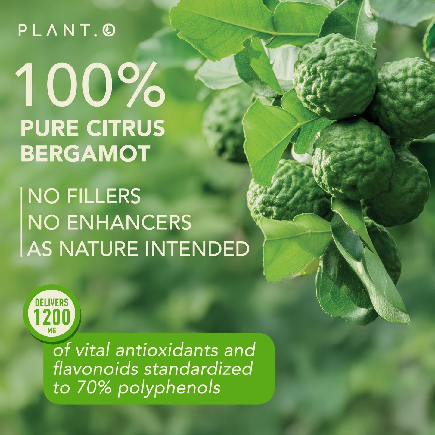 Plant.O Citrus Bergamot 1200mg – 70% Polyphenols | Heart Health