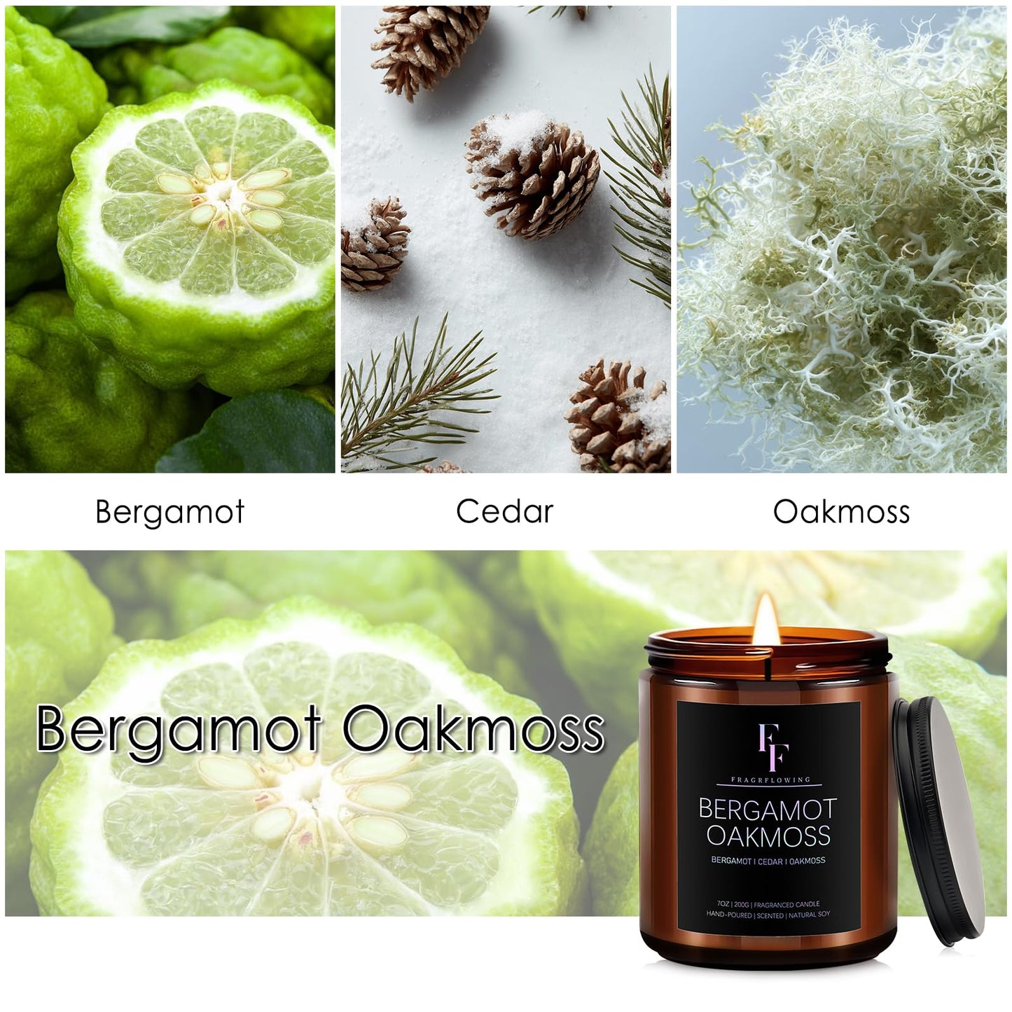 Bergamot Oakmoss Scented Candle | 7oz Soy Wax Candle for Home | Aromatherapy Gift for Women & Men