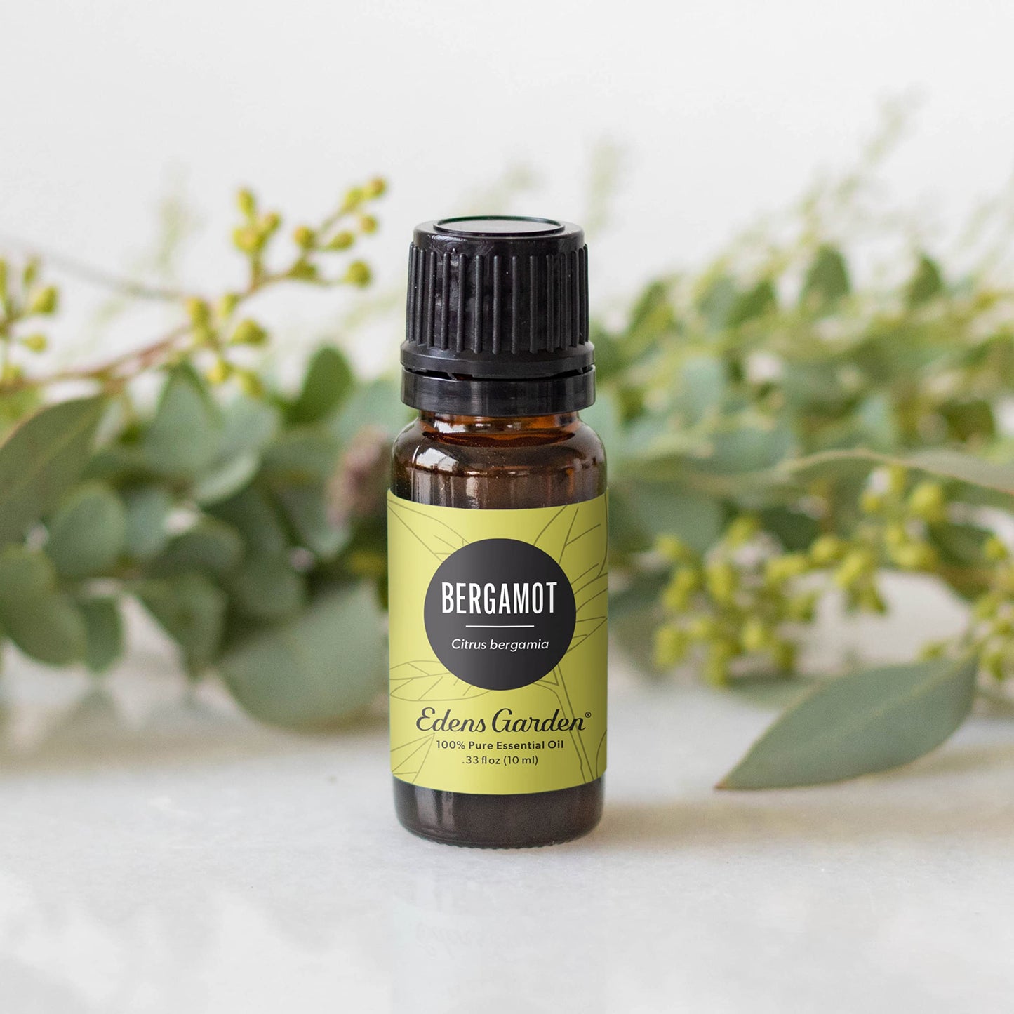 Edens Garden Bergamot Essential Oil – 100% Pure, Premium Grade, 10 ml