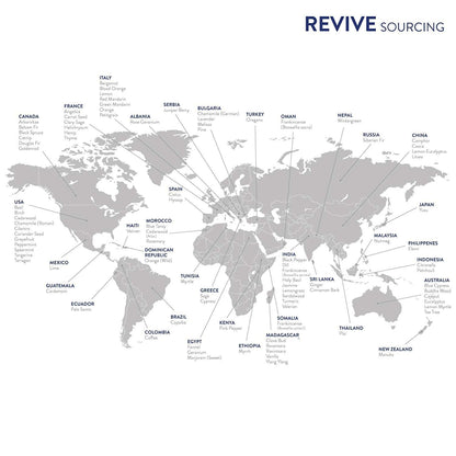 Bergamot Essential Oil | REVIVEEO by Revive Essential Oils | 100% Pure Therapeutic Grade