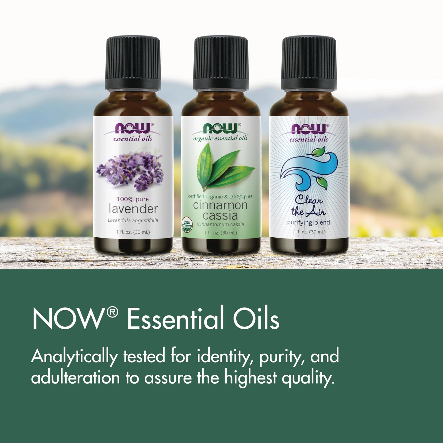 NOW Essential Oils Organic Bergamot Oil — 100% Pure, Cold-Pressed, Sweet Citrus Aroma, 1 oz