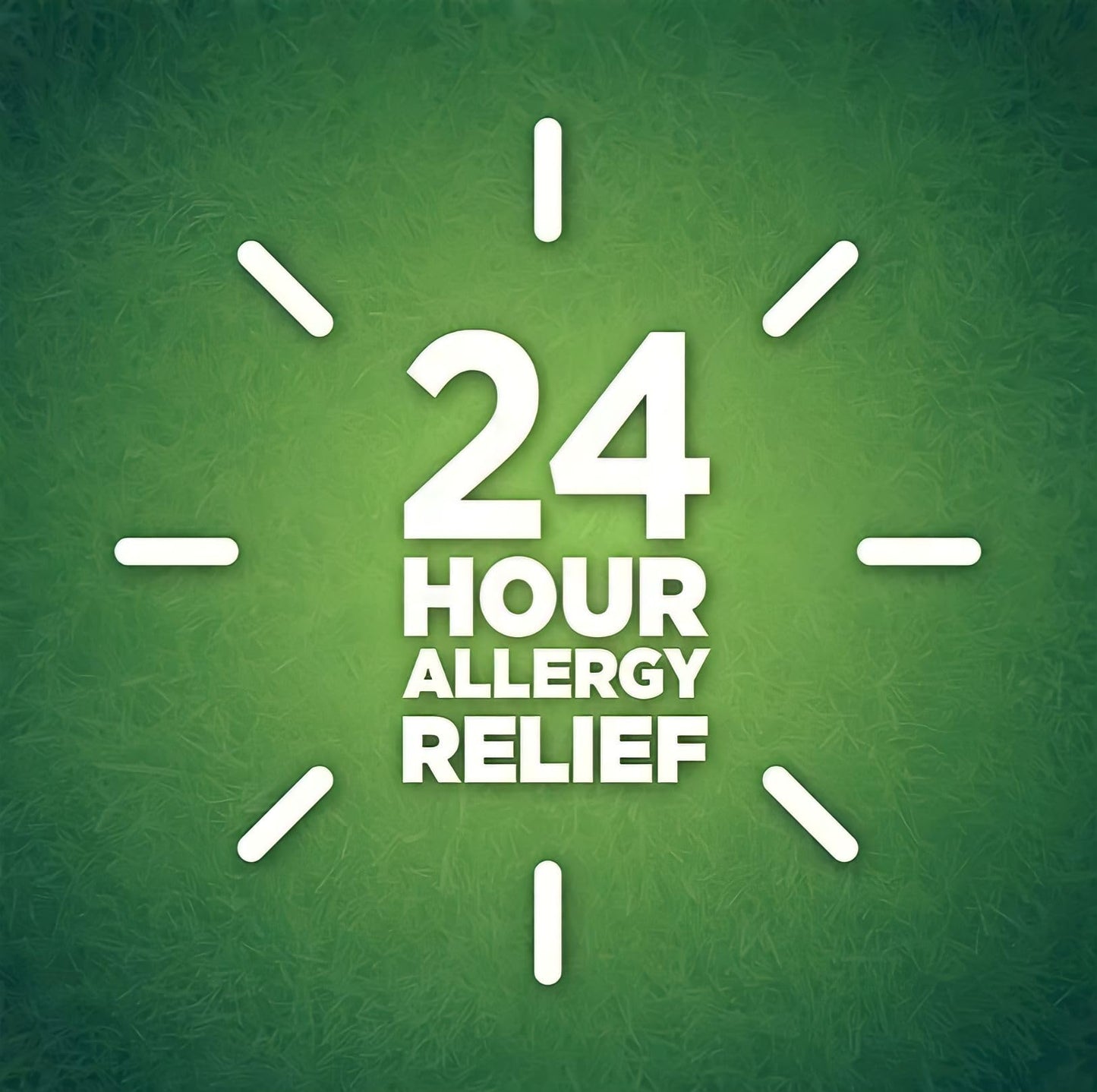 berkley jensen 24 Hour Allergy Relief (365-Count) - 10 mg Cetirizine Hydrochloride Antihistamine