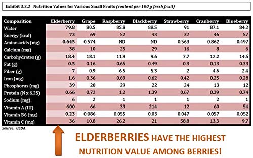 Berryqueen Organic Elderberry Syrup – Immunity Booster (8 oz)