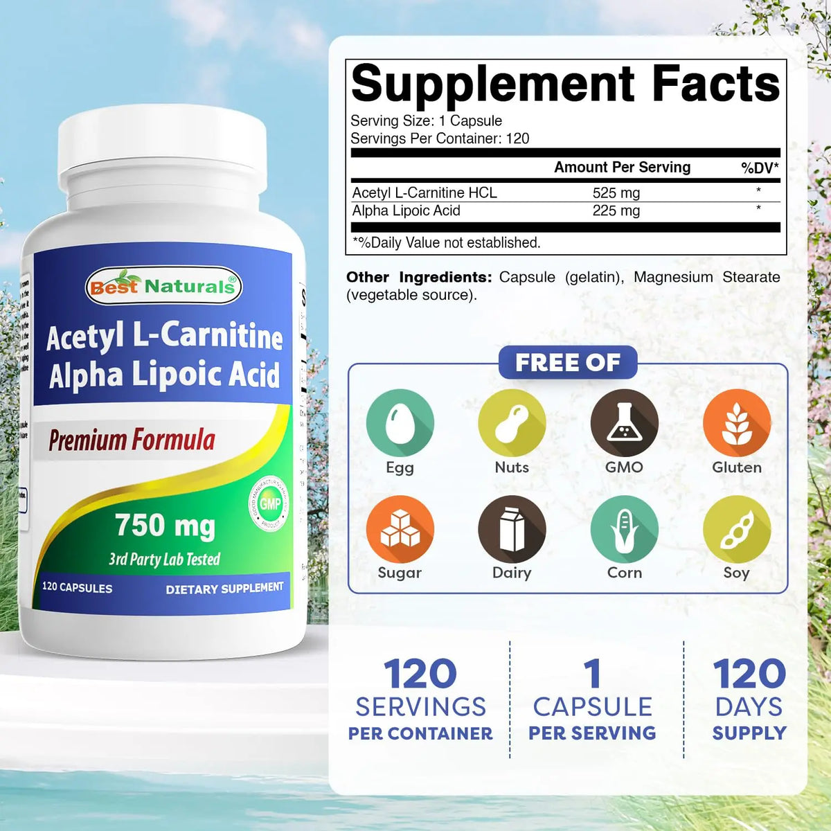 Best Naturals Acetyl L-Carnitine & Alpha Lipoic Acid 750 mg – 360 Count (3 x 120) BritishVita | Premium UK Vitamins & Wellness Supplements