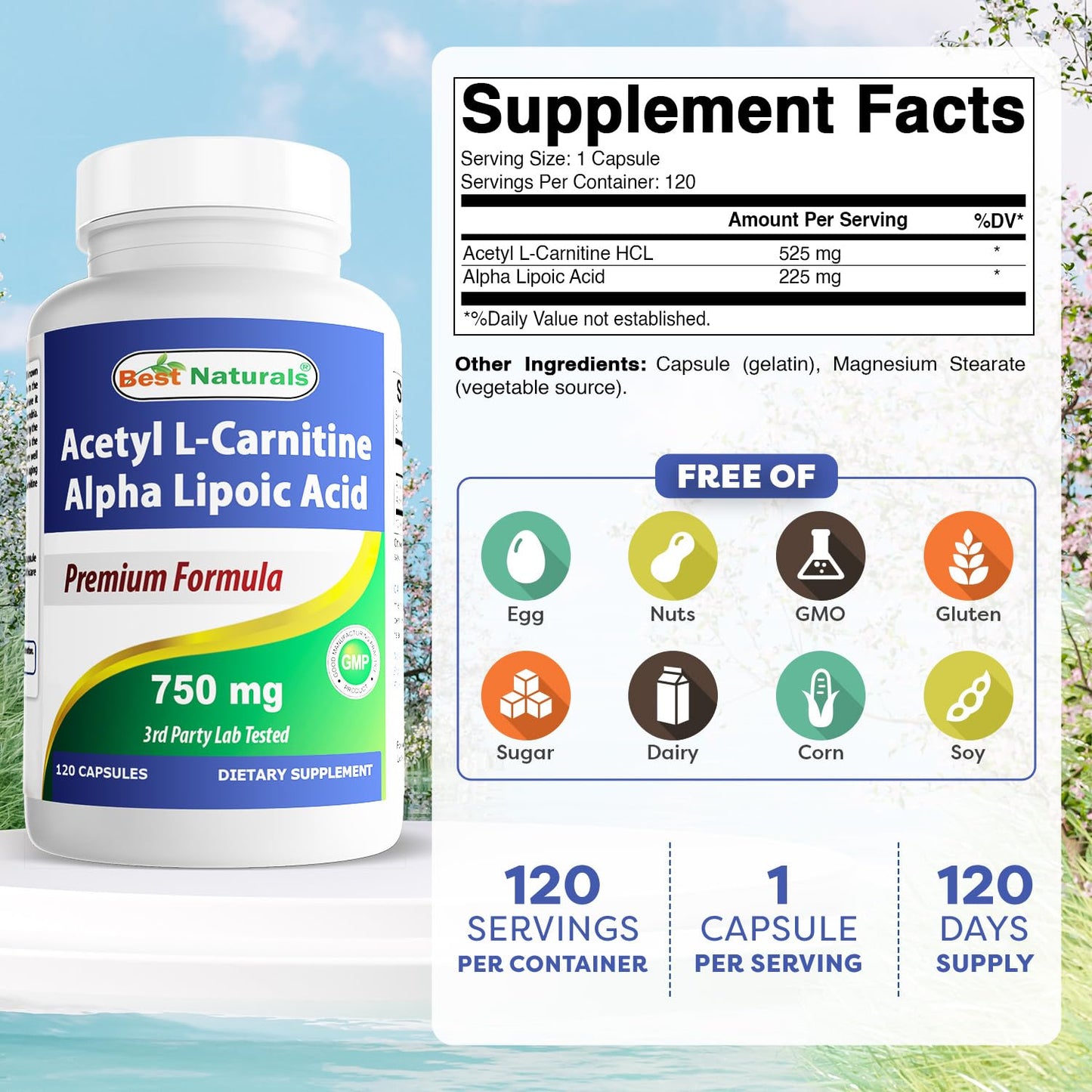 Best Naturals Acetyl L-Carnitine & Alpha Lipoic Acid 750 mg - 120 Capsules