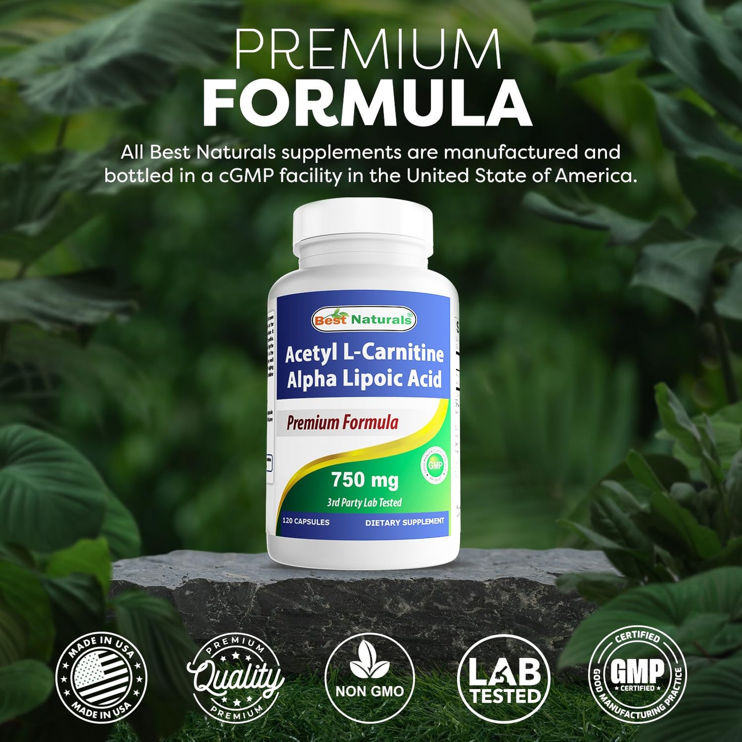 Best Naturals Acetyl L-Carnitine + Alpha Lipoic Acid 750 mg | 120 Capsules (Pack of 2)