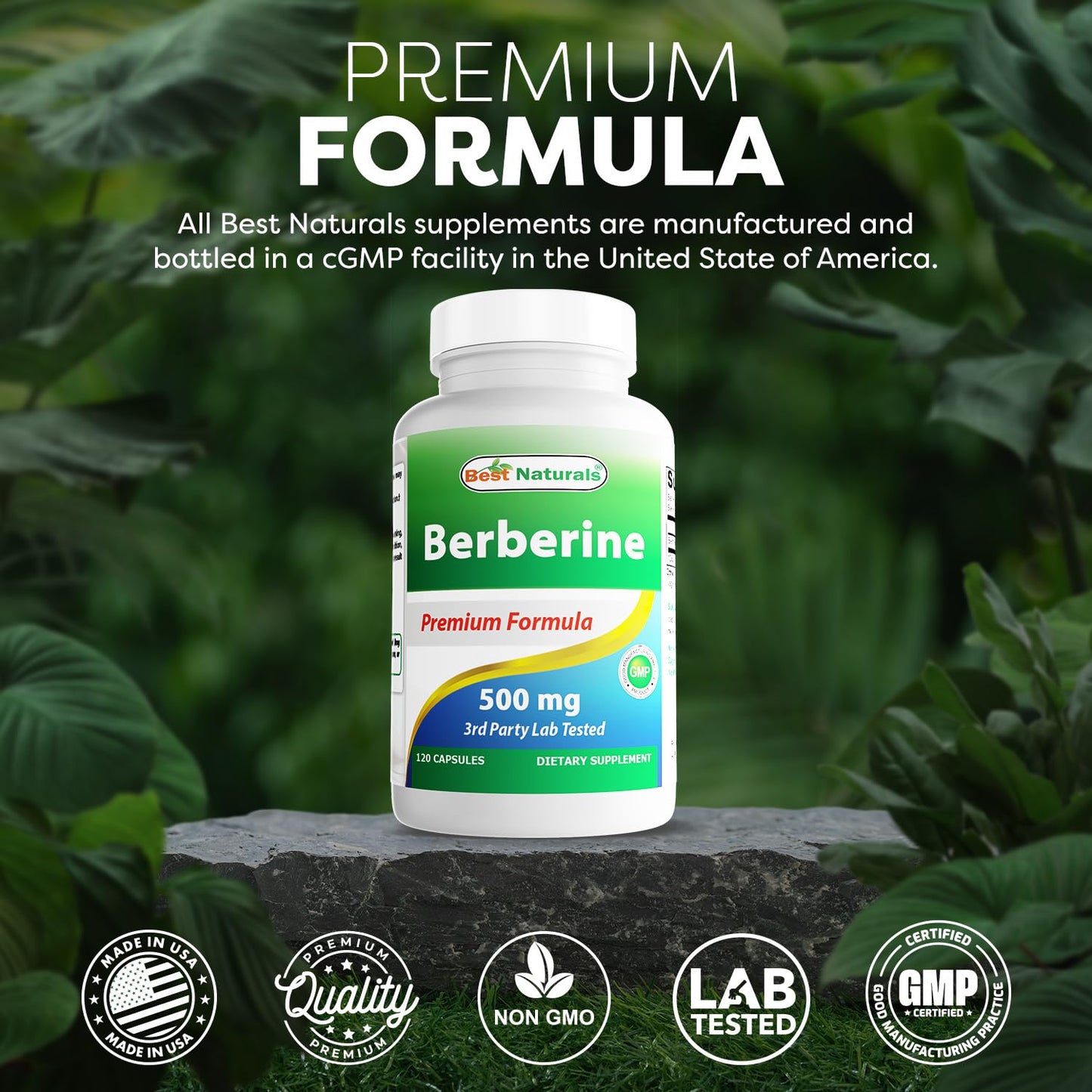 Best Naturals Berberine 500mg 120 Capsules – Immune, Cardiovascular & GI Support (Pack of 2)