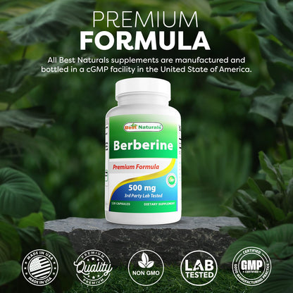 Best Naturals Berberine 500mg 120 Capsules – Immune, Cardiovascular & GI Support (Pack of 2)