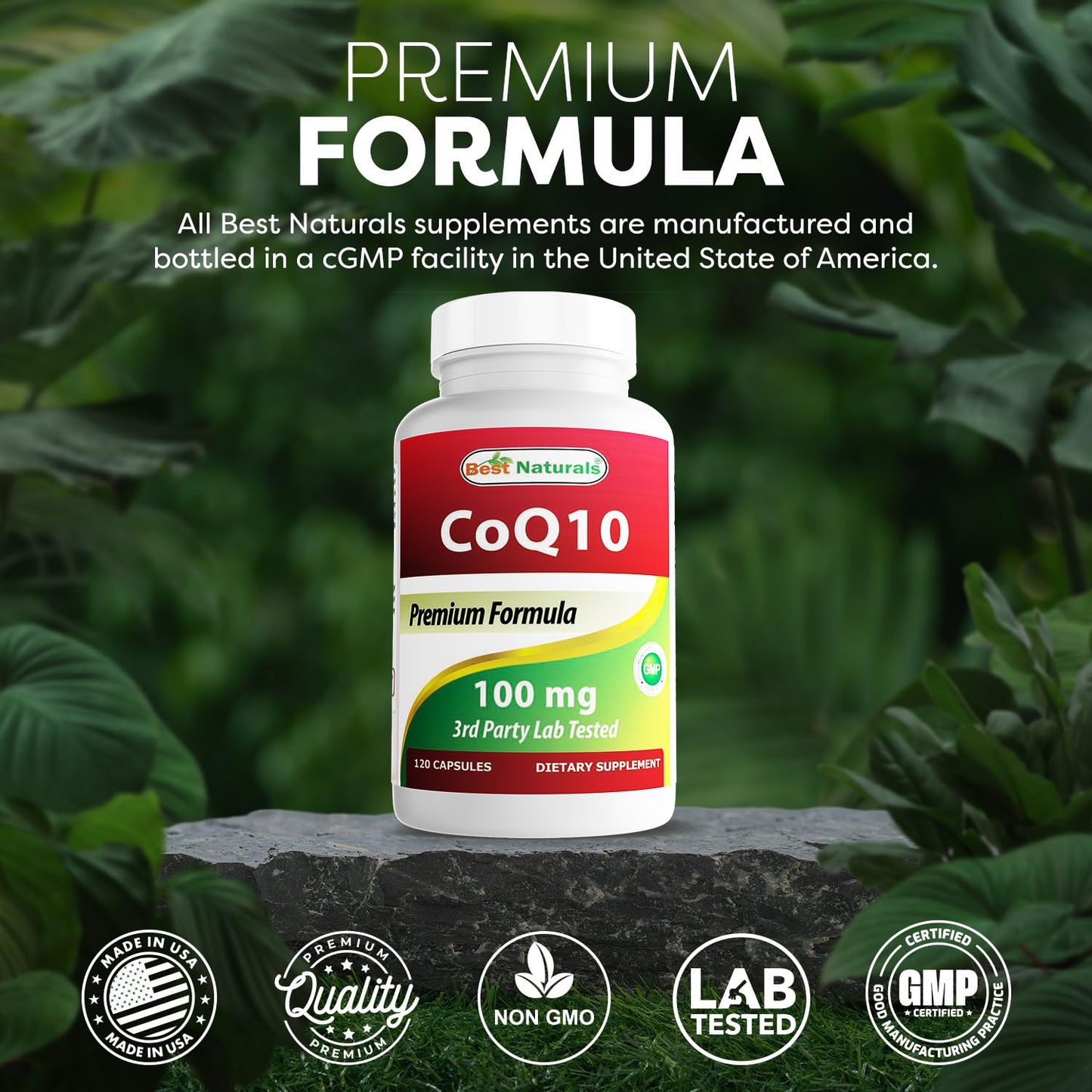 Best Naturals COQ10 100 mg - 120 Capsules per Bottle (Pack of 2)