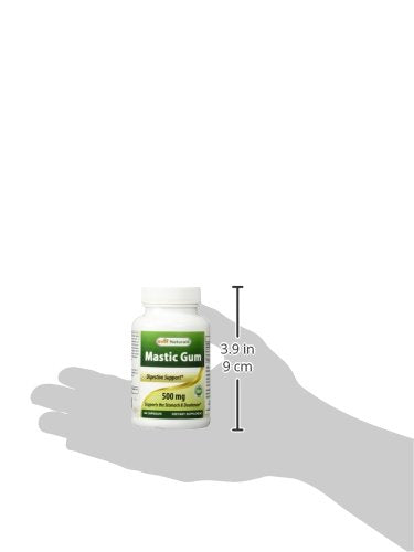 Best Naturals Mastic Gum 500 mg – 60 Capsules (Pack of 2)