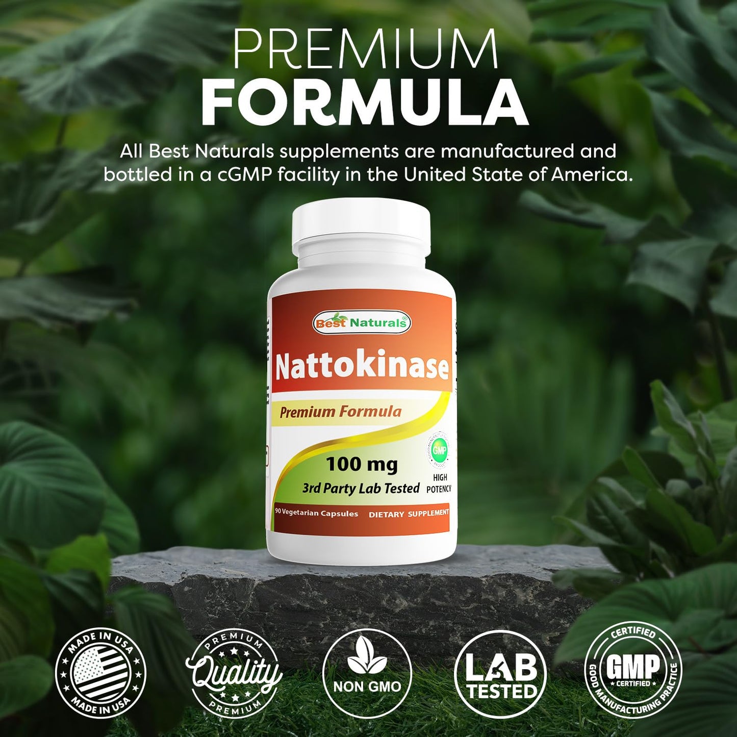 Best Naturals Nattokinase 2000 FU | 100 mg per Capsule, 90 Vegetarian Capsules (Pack of 2)
