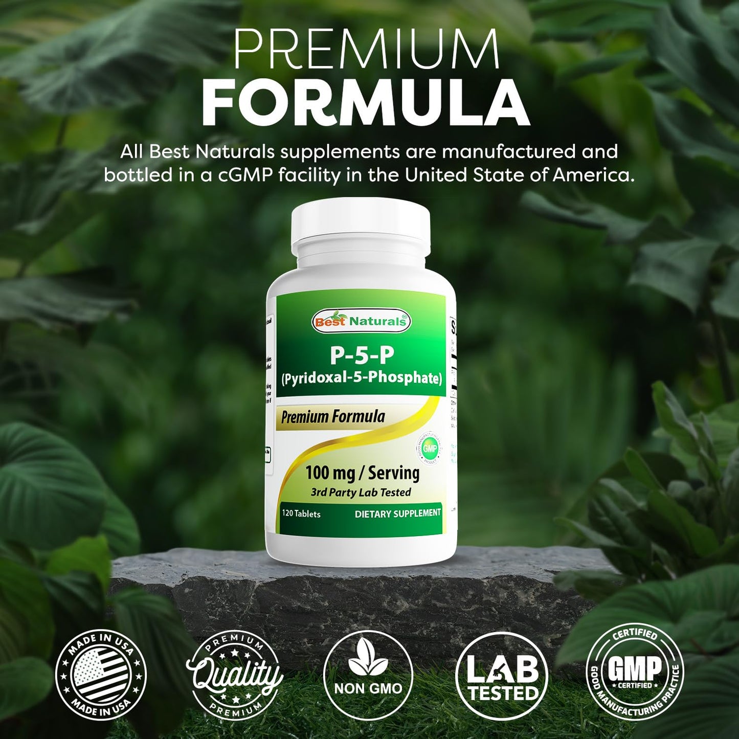 Best Naturals P5P Vitamin B6 100 mg – 120 Tablets (Pack of 2) – Active Pyridoxal 5-Phosphate