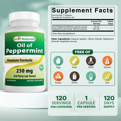 Best Naturals Peppermint Oil Bowel Soothing Dietary Supplement, 250 mg, 120 Count