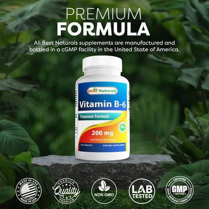 Best Naturals Vitamin B6 200mg for Adults - 120 Tablets (Pack of 2)
