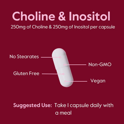 BESTVITE Choline & Inositol 500mg - 120 Veg Capsules - Vegan, Non-GMO, Gluten Free