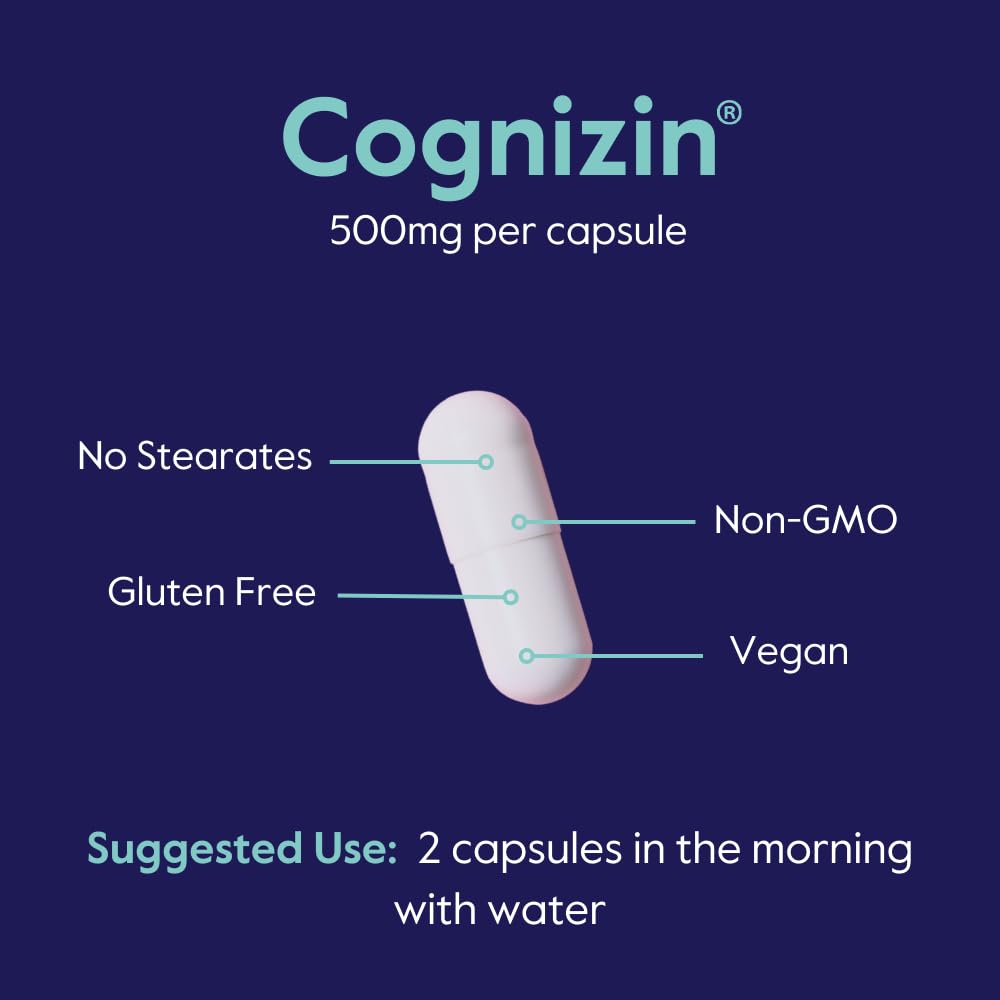 BESTVITE Cognizin Citicoline 500mg – Premium Nootropic for Memory & Focus (60 Veg Capsules)