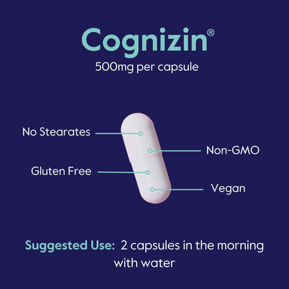 BESTVITE Cognizin Citicoline 500mg – Premium Nootropic for Memory & Focus (60 Veg Capsules)