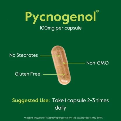 BESTVITE Pycnogenol 100mg (60 Capsules) – French Maritime Pine Bark Extract – Gluten Free, Non-GMO, No Stearates BritishVita | Premium UK Vitamins & Wellness Supplements