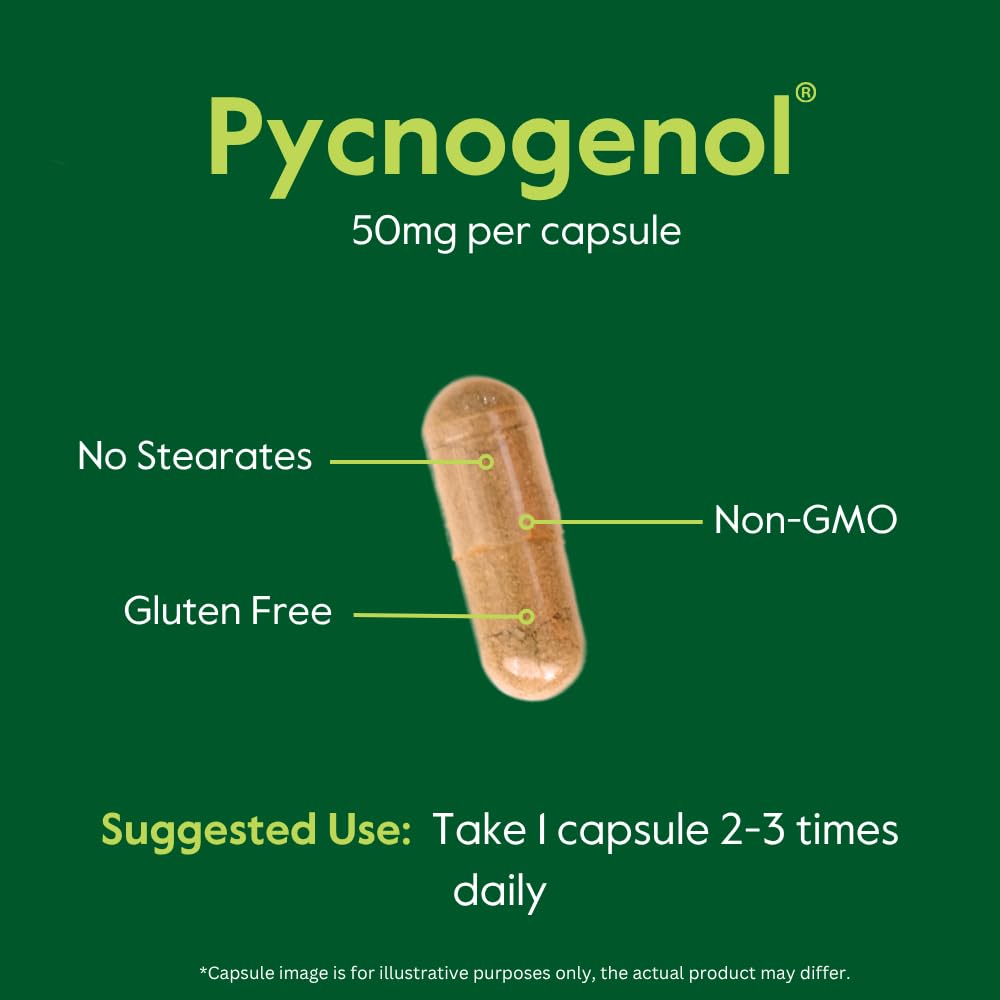 BESTVITE Pycnogenol 50mg (60 Capsules) - French Maritime Pine Bark Extract - No Stearates - Gluten Free - Non GMO