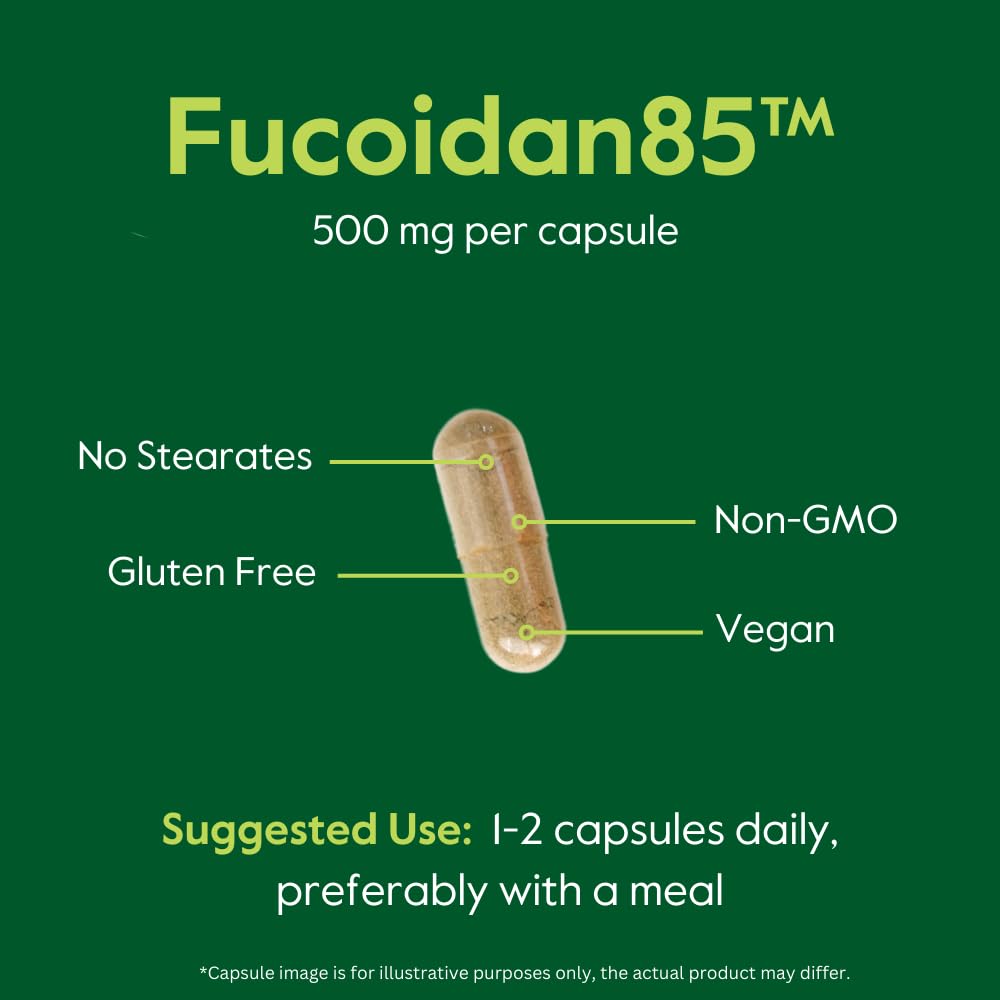 BESTVITE Fucoidan Extract 500mg | 85% Fucoidan | 120 Veg Capsules