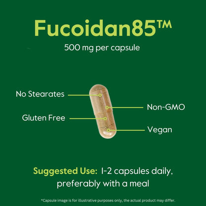 BESTVITE Fucoidan Extract 500mg | 85% Fucoidan | 120 Veg Capsules