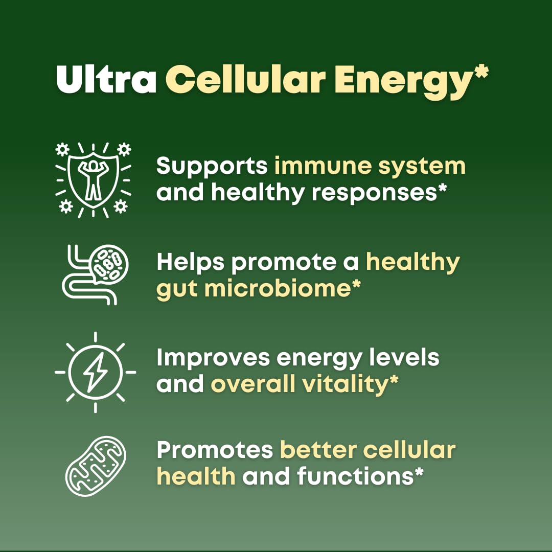 Beta Glucan & Fucoidan Brown Seaweed Extract - Immune & Cellular Support (90 Capsules) - Non-GMO, Gluten Free