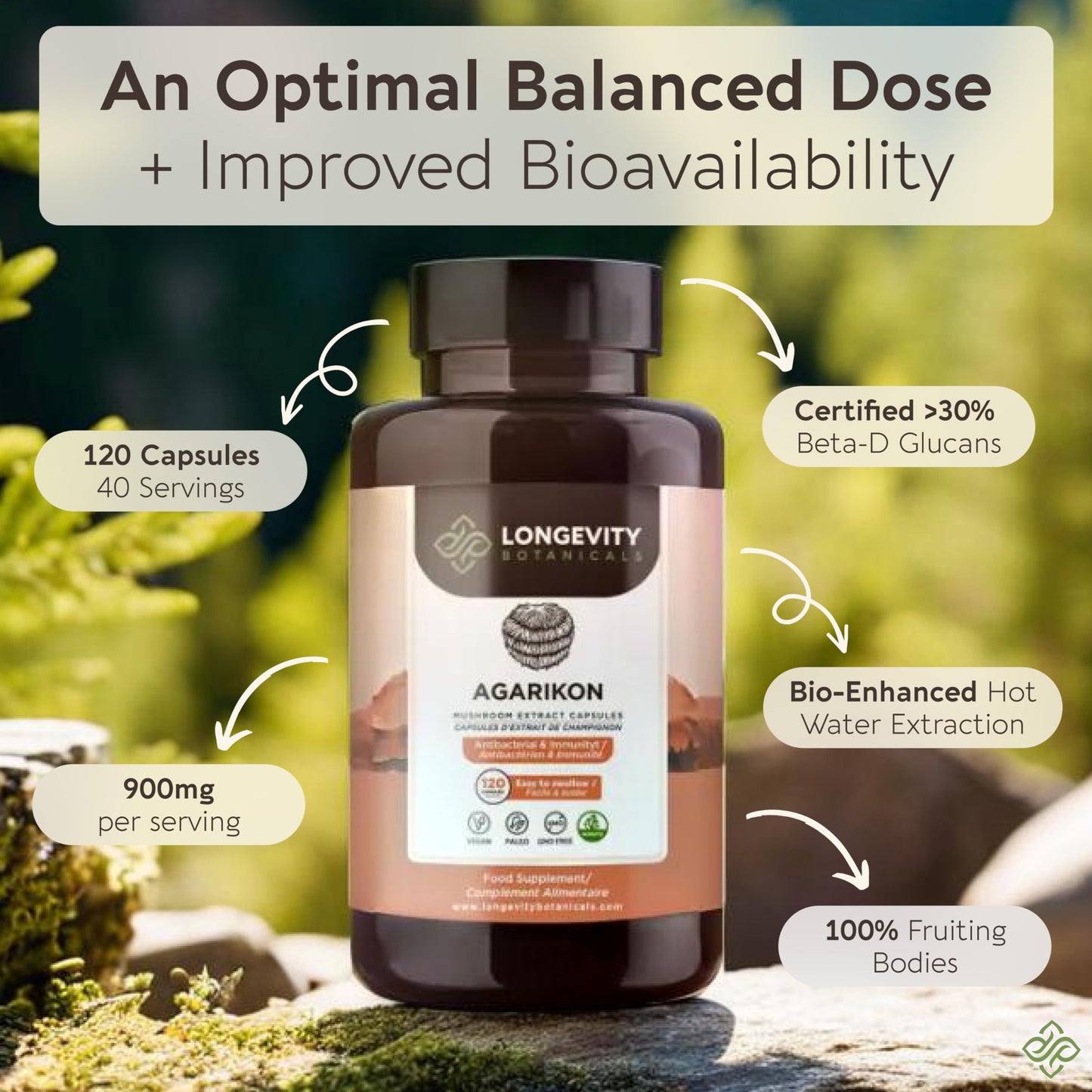 Longevity Botanicals Agarikon Mushroom Extract Capsules (120) – 10:1 Concentrate, 100% Fruiting Bodies