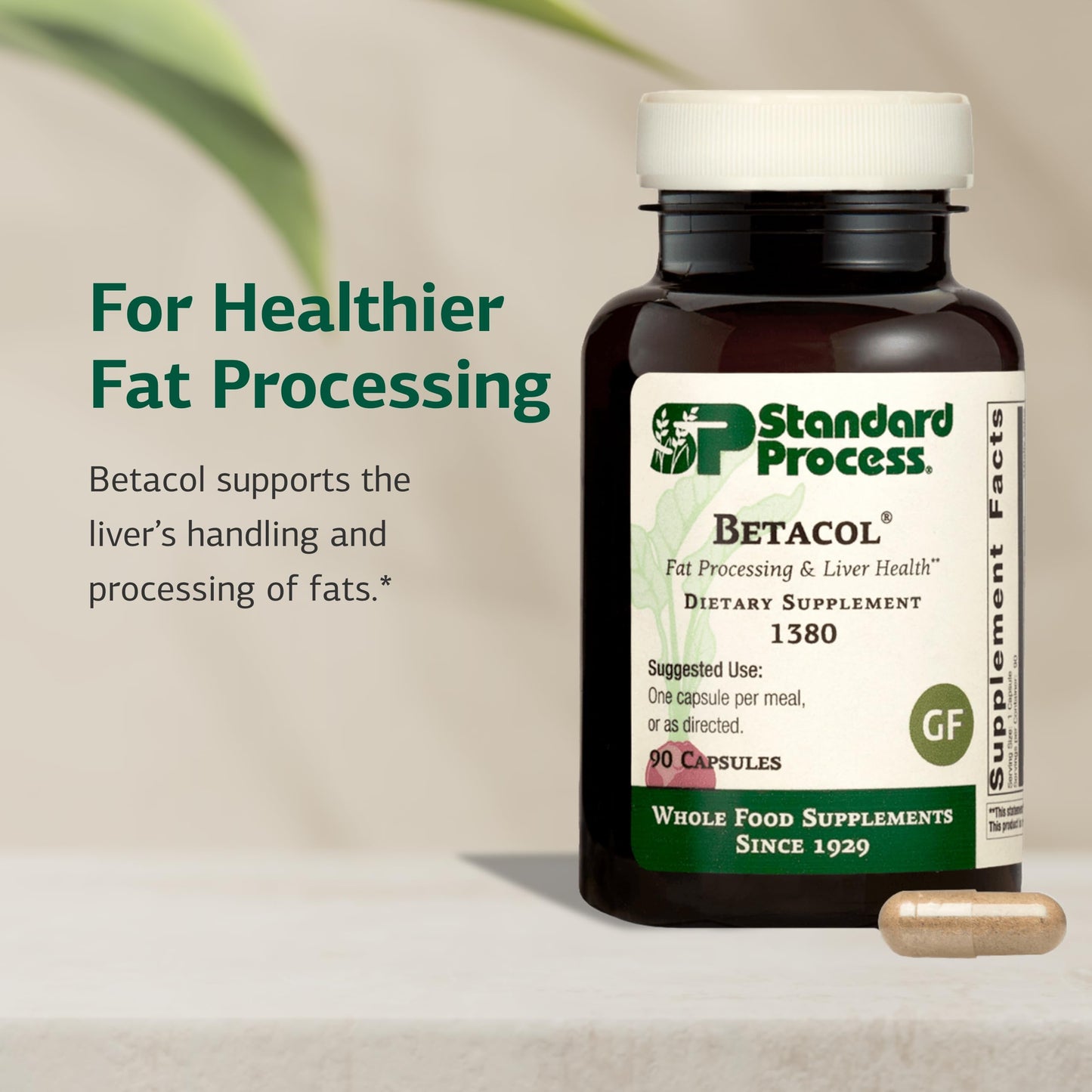 Betacol - Liver Support & Bile Production | Standard Process | 90 Capsules