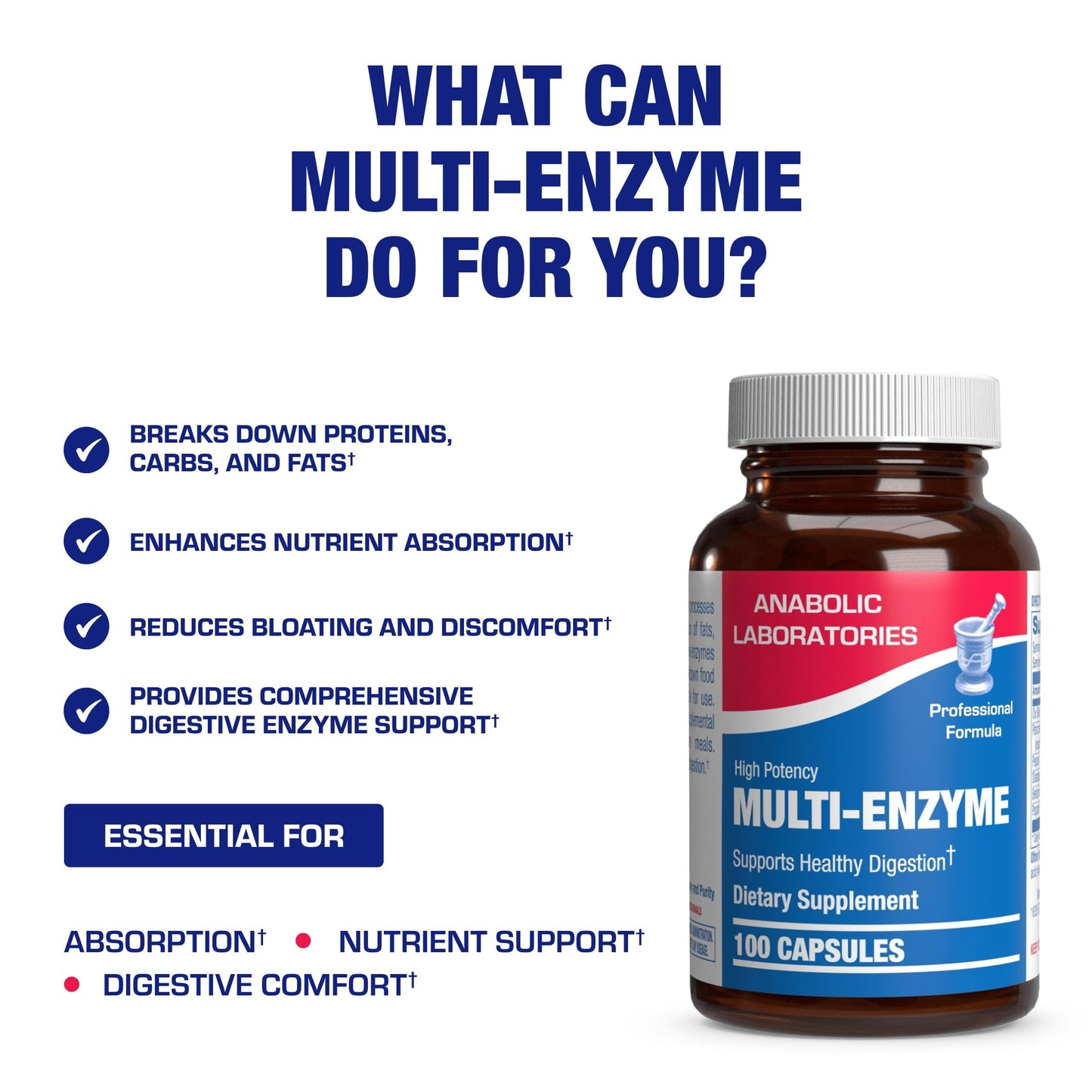 Multi Digestive Enzymes with Ox Bile – Clinical Strength Pancreatic Enzymes for Protein, Carbs & Fat