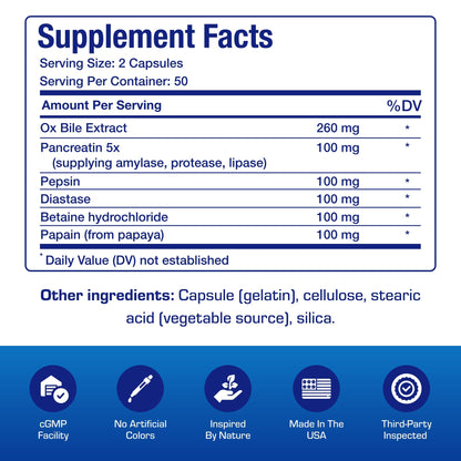 Multi Digestive Enzymes with Ox Bile – Clinical Strength Pancreatic Enzymes for Protein, Carbs & Fat