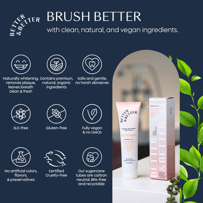 Better & Better Detoxify Hydroxyapatite Toothpaste | Fresh Mint 3.4oz, 1 Pack | Fluoride & SLS Free