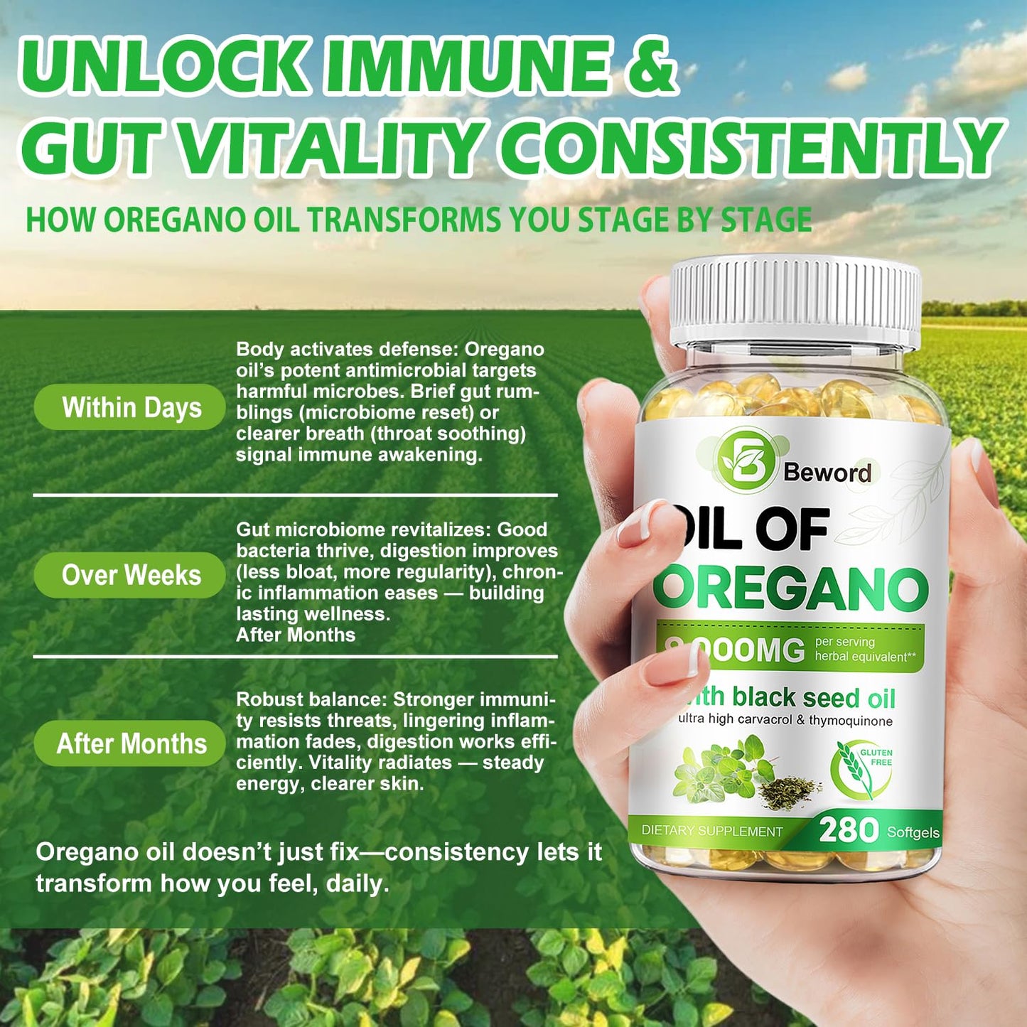 BEWORD Oil of Oregano with Black Seed Oil – 90/280/560/840 Softgels, 9000mg per Serving, 2-in-1 Immune Support, High Carvacrol & Thymoquinone | Plant-Based, Non-GMO