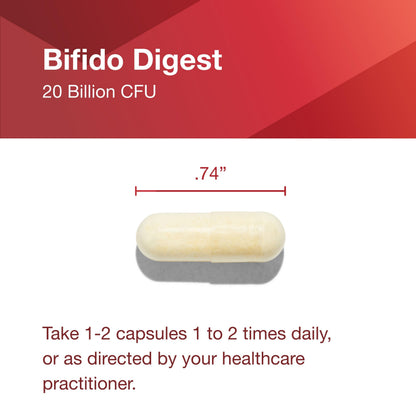 PROTOCOL FOR LIFE BALANCE Bifido Digest - 20 Billion CFU per Serving - GI Support - Dairy Free, Egg Free & Non-GMO - 60 Veg Capsules