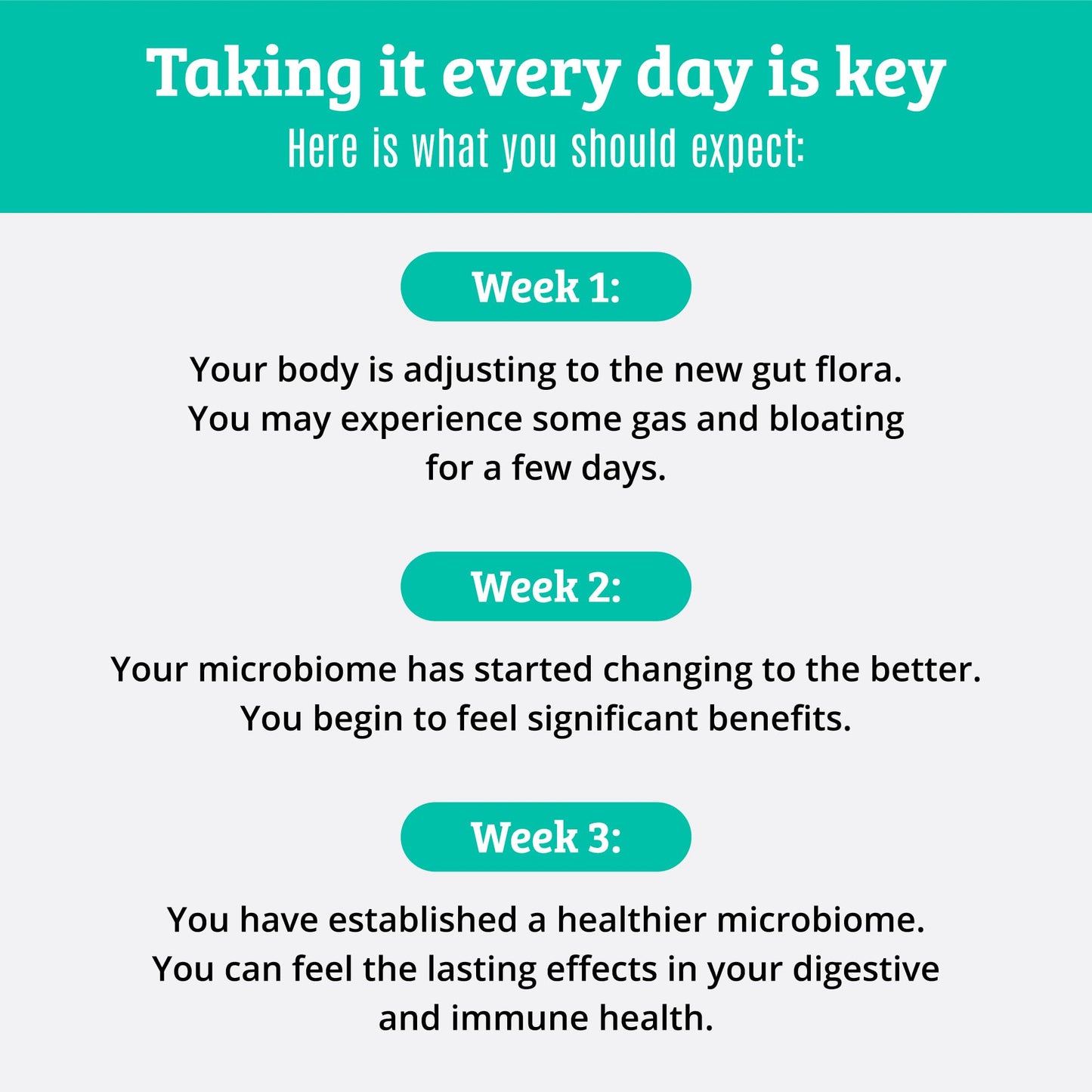 Prebiotics & Probiotics for Digestive Health | 15 Strains, 50B CFU
