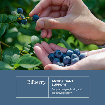 Eclectic Herb Bilberry Capsules | Vision Health & Cardiovascular Support | Vegan, Non-GMO