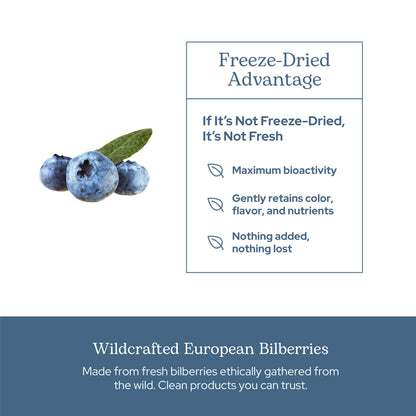 Eclectic Herb Bilberry Capsules | Vision Health & Cardiovascular Support | Vegan, Non-GMO