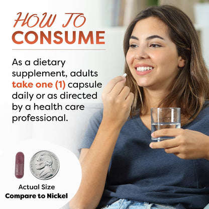 Best Naturals Bilberry Extract 1000mg Capsule (Non-GMO) Supports Healthy Vision, 90 Count