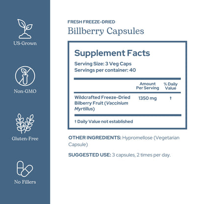 Eclectic Herb Bilberry Capsules | Vision Health & Cardiovascular Support | Vegan, Non-GMO