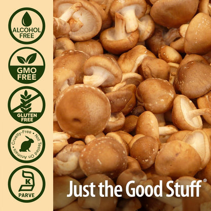 Nature's Answer Shiitake Mushroom Extract - Alcohol Free, 1 Fl Oz | Immune Support & Wellness