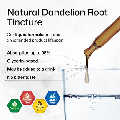 BioKrauter Dandelion Root Extract – Liquid 689 mg per Serving, 2 oz (28-Day) | Liver & Kidney Support, Vegan, Alcohol-Free